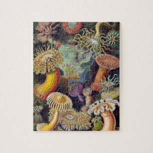 Zee onderwater Anemones door Ernst Haeckel Legpuzzel