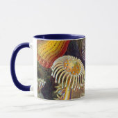  Zee onderwater Anemones door Ernst Haeckel Mok (Links)