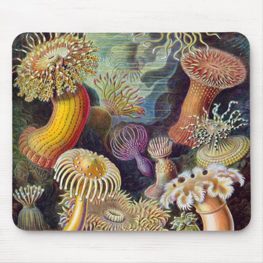  Zee onderwater Anemones door Ernst Haeckel Muismat (Voorkant)