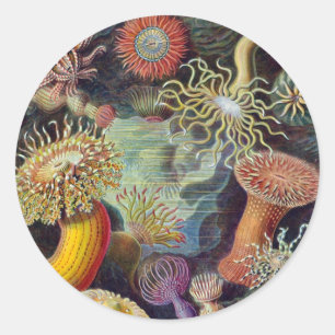 Zee onderwater Anemones door Ernst Haeckel Ronde Sticker