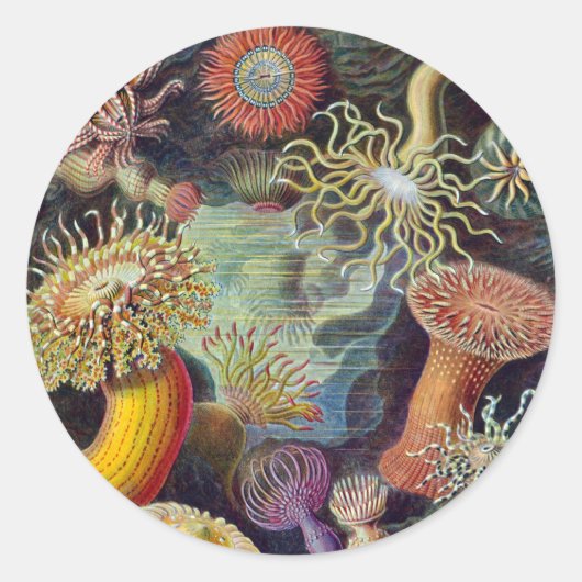  Zee onderwater Anemones door Ernst Haeckel Ronde Sticker (Voorkant)