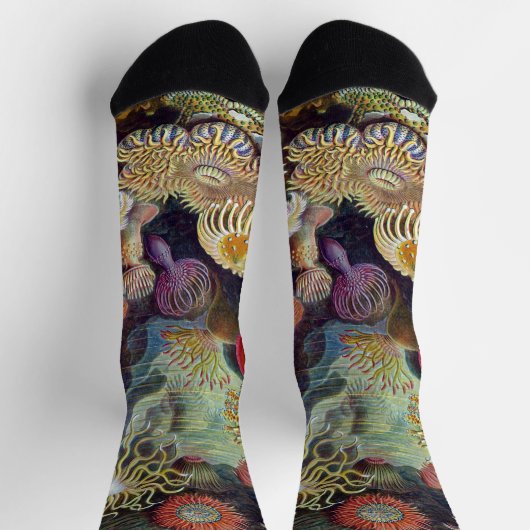  Zee onderwater Anemones door Ernst Haeckel Sokken (Top)