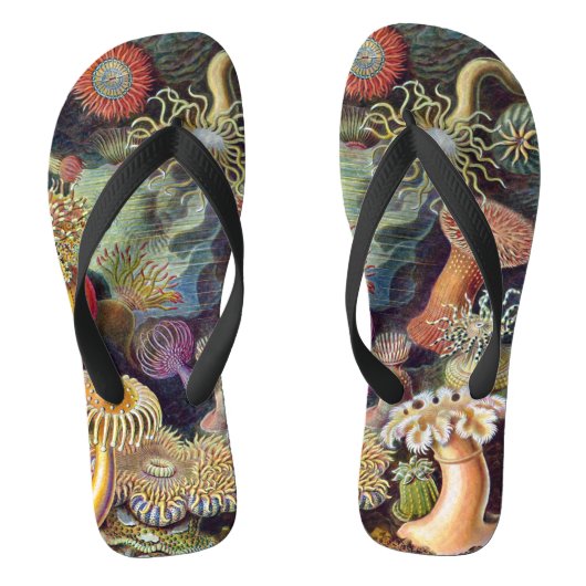 Zee onderwater Anemones door Ernst Haeckel Teenslippers (Voetbed)