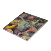  Zee onderwater Anemones door Ernst Haeckel Tegeltje (Zijkant)