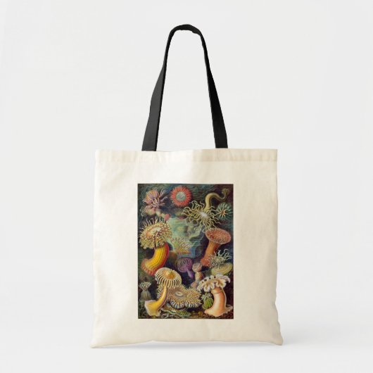  Zee onderwater Anemones door Ernst Haeckel Tote Bag (Voorkant)