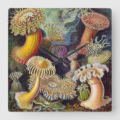 Zee onderwater Anemones door Ernst Haeckel Vierkante Klok (Voorkant)
