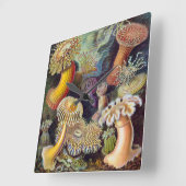 Zee onderwater Anemones door Ernst Haeckel Vierkante Klok (Hoek)