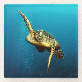 Zee onderwater schildpad glazen onderzetter (Voorkant)