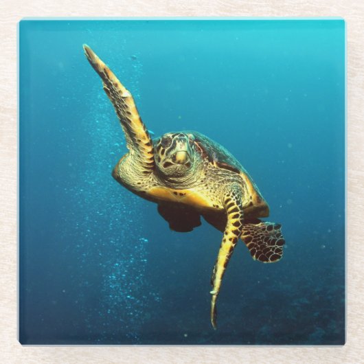 Zee onderwater schildpad glazen onderzetter (Voorkant)