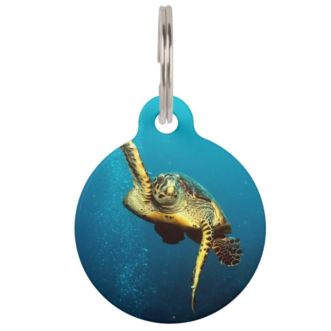 Zee onderwater schildpad huisdierpenning (Voorkant)
