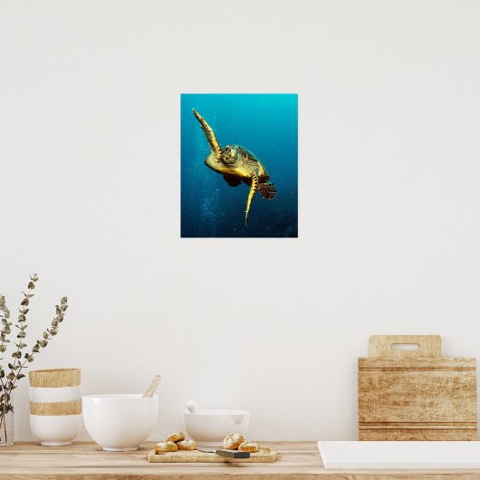 Zee onderwater schildpad poster (Keuken)