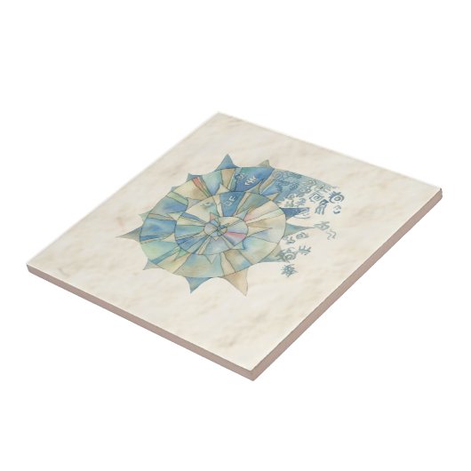 Zee ontwerp Achtergrond met zee shell Onderzetter Tegeltje (Zijkant)