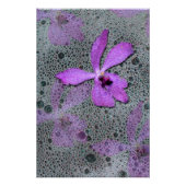 Zee orchidee poster (Voorkant)