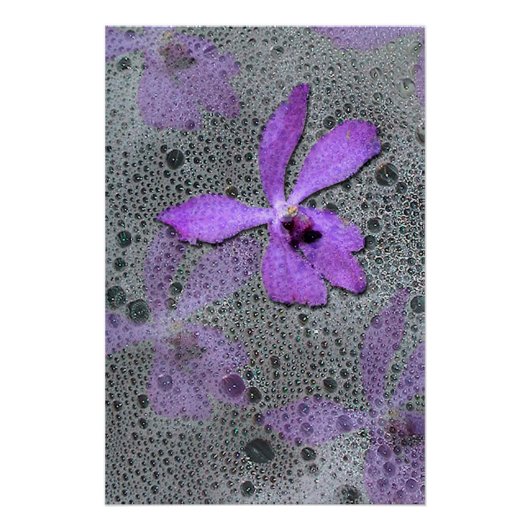 Zee orchidee poster (Voorkant)