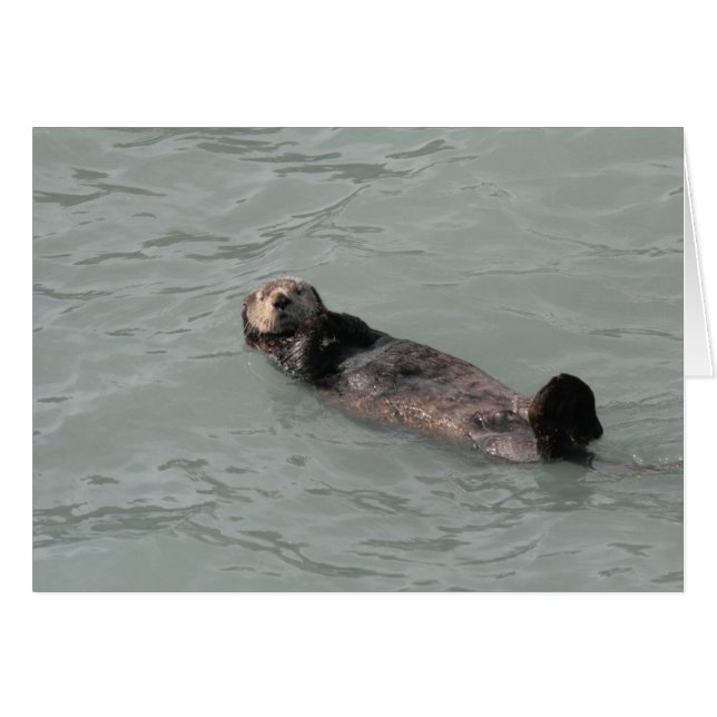 Zee Otter (Voorkant Horizontaal)
