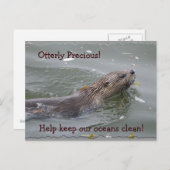 Zee Otter Anti-Pollution Briefkaart (Voorkant / Achterkant)