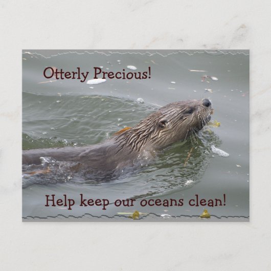 Zee Otter Anti-Pollution Briefkaart (Voorkant)