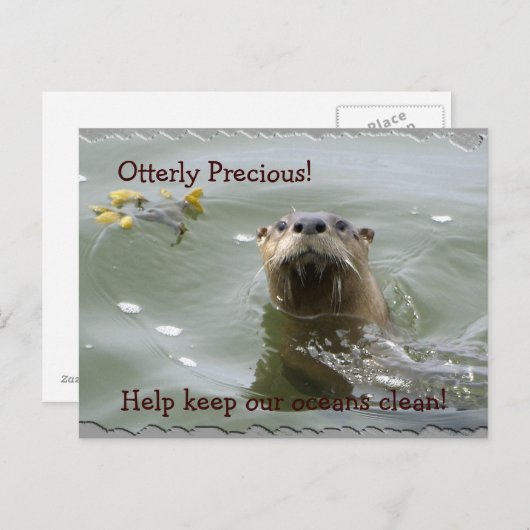 Zee Otter Anti-Pollution Briefkaart (Voorkant / Achterkant)