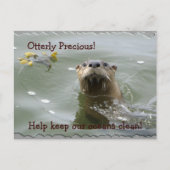Zee Otter Anti-Pollution Briefkaart (Voorkant)