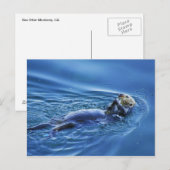 Zee Otter Briefkaart (Voorkant / Achterkant)