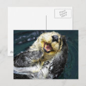 Zee Otter Briefkaart (Voorkant / Achterkant)
