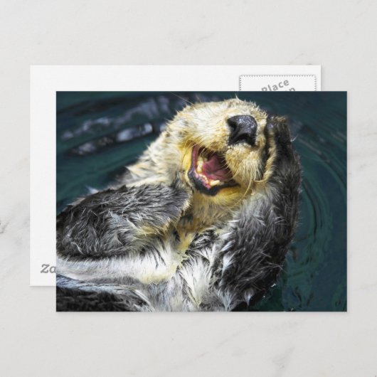 Zee Otter Briefkaart (Voorkant / Achterkant)