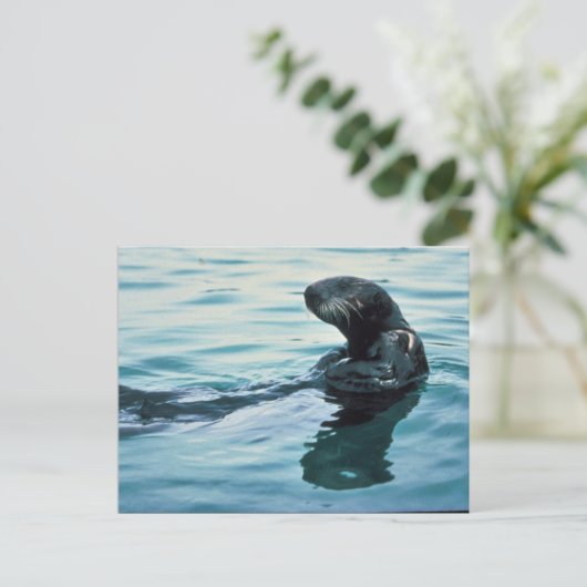 Zee Otter Briefkaart (Staand voorkant)