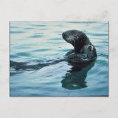 Zee Otter Briefkaart (Voorkant)