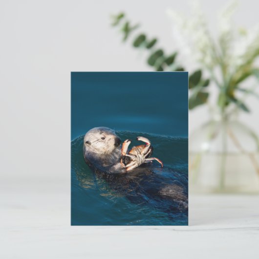 Zee Otter Briefkaart (Staand voorkant)