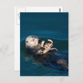 Zee Otter Briefkaart (Voorkant / Achterkant)