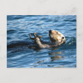 Zee Otter Briefkaart (Voorkant)