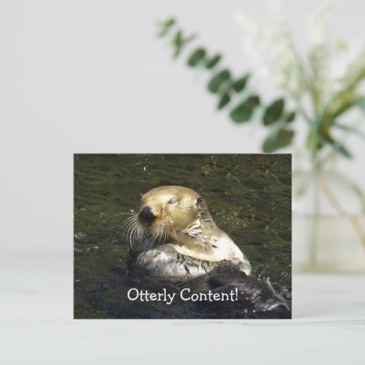 Zee Otter Briefkaart (Staand voorkant)
