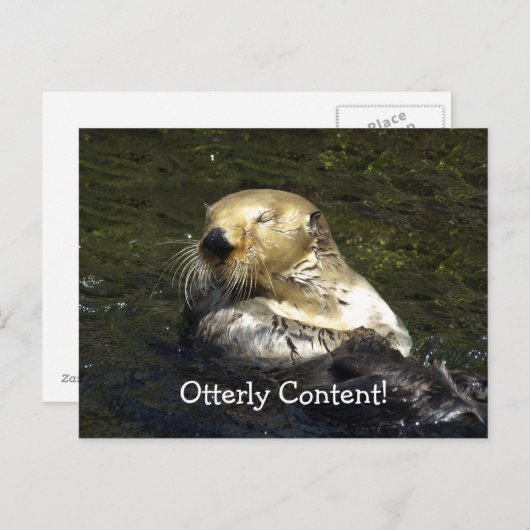 Zee Otter Briefkaart (Voorkant / Achterkant)