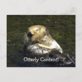 Zee Otter Briefkaart (Voorkant)