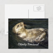 Zee Otter Briefkaart (Voorkant / Achterkant)