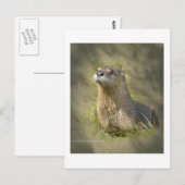 Zee otter-Briefkaarten Briefkaart (Voorkant / Achterkant)