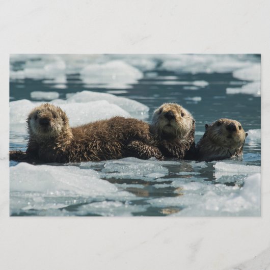 Zee Otter Briefpapier (Voorkant)