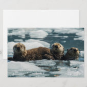 Zee Otter Briefpapier (Voorkant / Achterkant)