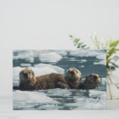 Zee Otter Briefpapier (Staand voorkant)