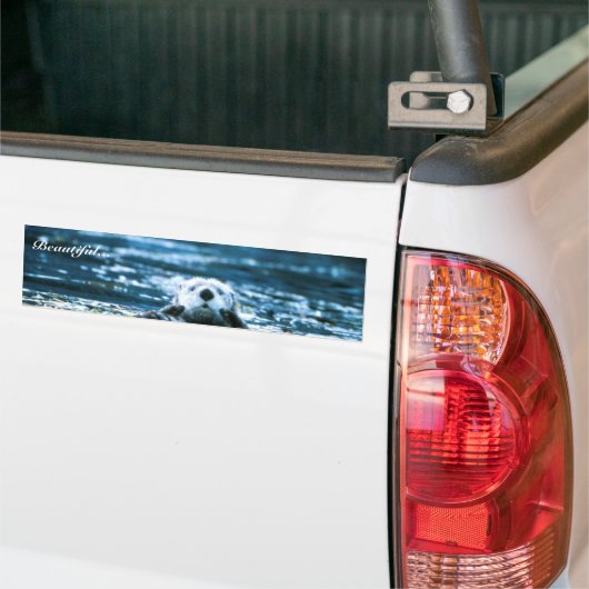 Zee Otter Bumpersticker (Op Truck)