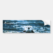 Zee Otter Bumpersticker (Voorkant)