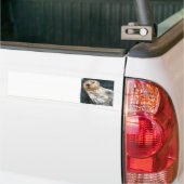 Zee Otter Bumpersticker (Op Truck)