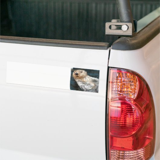 Zee Otter Bumpersticker (Op Truck)