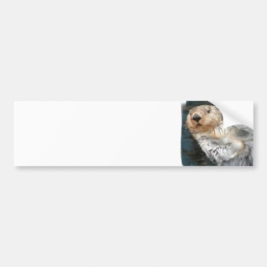 Zee Otter Bumpersticker (Voorkant)