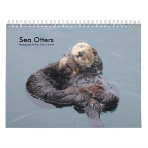 Zee Otter Channel Agenda #4 Kalender