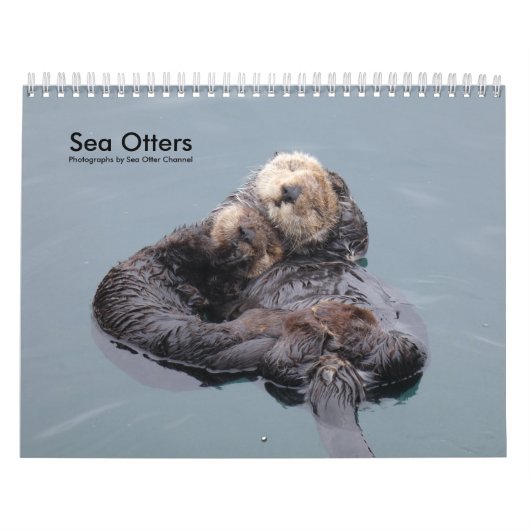 Zee Otter Channel Agenda #4 Kalender (Hoes)