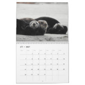 Zee Otter Channel Agenda #4 Kalender (Mar 2027)