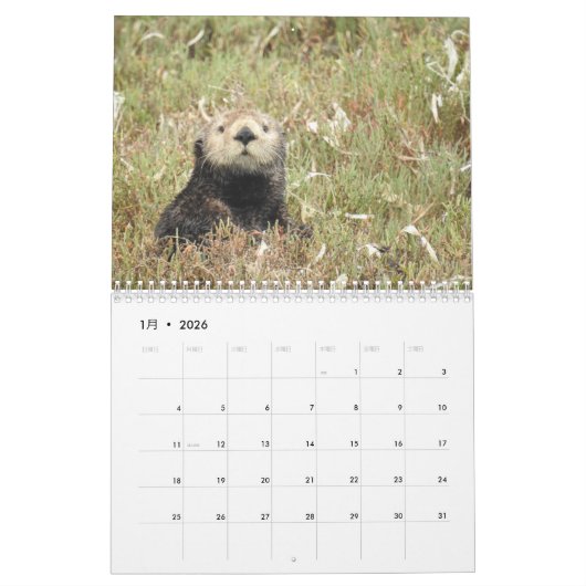 Zee Otter Channel Agenda #4 Kalender (Jan 2026)
