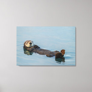 Zee otter die op de rug drijft canvas afdruk