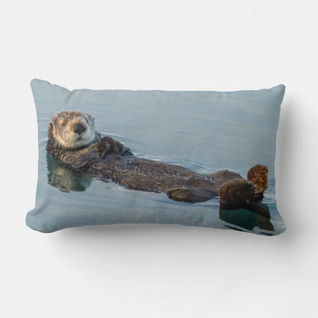 Zee otter die op de rug drijft kussen (Voorkant)
